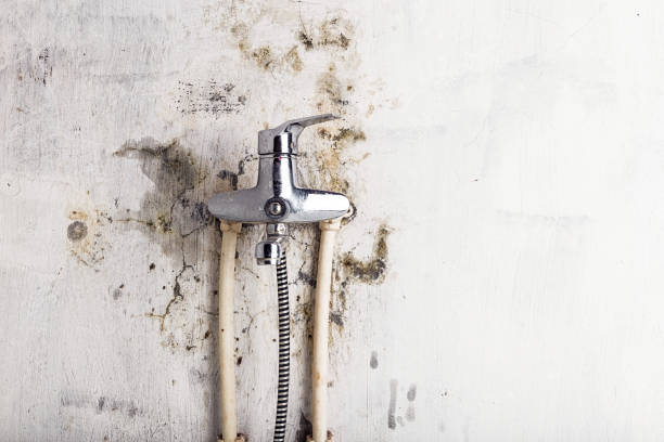 Best Office Mold Removal Services  in Red Springs, NC