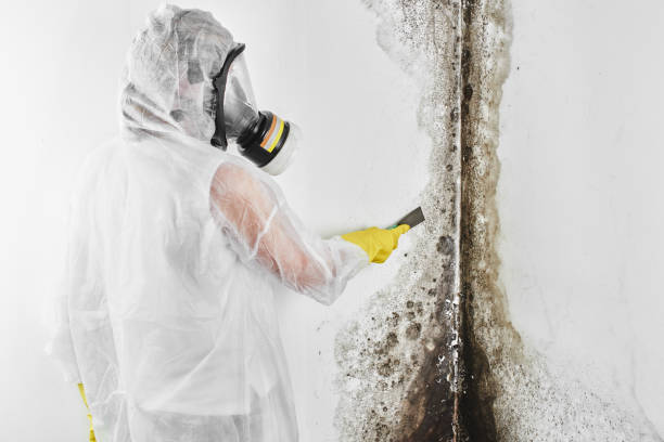 Best Residential Mold Removal  in Red Springs, NC