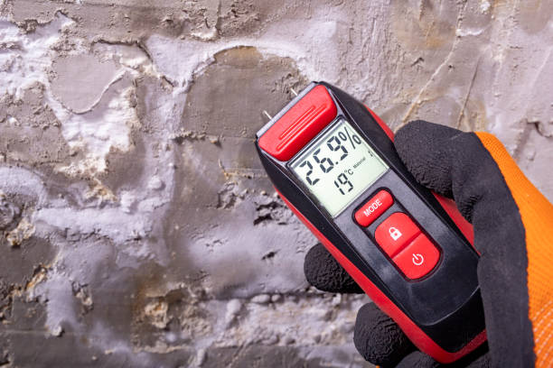 Certified Mold Removal in Red Springs, NC